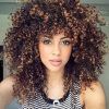 Highlighted Afro Curls Ponytail Hairstyles (Photo 20 of 25)