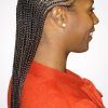 Cornrow Fishtail Side Braid Hairstyles (Photo 4 of 25)