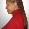 A Layered Array Of Braids Hairstyles (Photo 2 of 25)