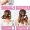 Princess-Like Ponytail Hairstyles For Long Thick Hair (Photo 5 of 25)