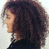 Long Curly Layers Hairstyles (Photo 3 of 25)