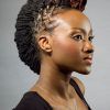 Braided Mohawk Hairstyles For Short Hair (Photo 20 of 25)
