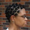 Bantu Knots And Beads Hairstyles (Photo 22 of 25)