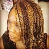 Tiny Twist Hairstyles With Caramel Highlights (Photo 18 of 25)