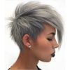 Gray Pixie Haircuts With Messy Crown (Photo 9 of 25)