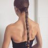 Reverse French Braids Ponytail Hairstyles With Chocolate Coils (Photo 11 of 25)