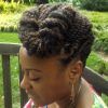 Regal Braided Up-Do Hairstyles (Photo 8 of 15)