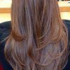 Long Hairstyles Cut In Layers (Photo 13 of 25)