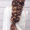 Long Hairstyles Braids (Photo 2 of 25)