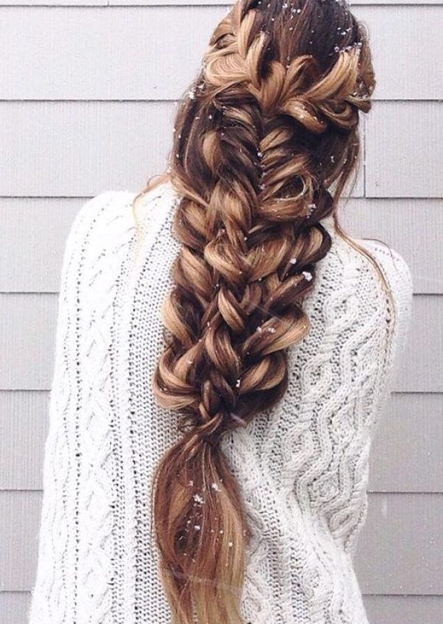 15 Inspirations Long Braided Hairstyles