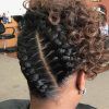 Twin Braid Updo Hairstyles (Photo 5 of 15)