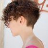 Pixie Haircuts With Tight Curls (Photo 12 of 25)