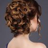Tied Back Ombre Curls Bridal Hairstyles (Photo 5 of 25)