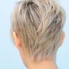 Choppy Pixie Hairstyles With Tapered Nape (Photo 15 of 25)