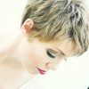 Pixie Layered Short Haircuts (Photo 1 of 25)