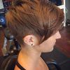 Pixie Haircuts With Short Thick Hair (Photo 9 of 25)