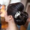 Voluminous Chignon Wedding Hairstyles With Twists (Photo 23 of 25)