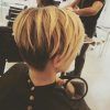 Pixie Bob Hairstyles With Blonde Babylights (Photo 19 of 25)