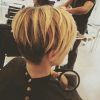Reverse Gray Ombre Pixie Hairstyles For Short Hair (Photo 4 of 25)