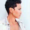 Short Black Pixie Hairstyles For Curly Hair (Photo 4 of 25)