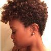 Shaggy Hairstyles For African Hair (Photo 1 of 15)