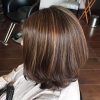 Short Brown Hairstyles With Subtle Highlights (Photo 9 of 25)