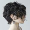 Short Curly Shaggy Hairstyles (Photo 9 of 15)
