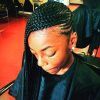 Cornrow Fishtail Side Braided Hairstyles (Photo 7 of 25)