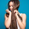 Cornrow Ombre Ponytail Micro Braid Hairstyles (Photo 16 of 25)