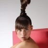 Ponytail Updo Hairstyles (Photo 12 of 15)