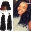 Curly Hairstyle With Crochet Braids (Photo 9 of 15)