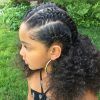 Full Scalp Patterned Side Braided Hairstyles (Photo 22 of 25)