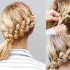Side Rope Braid Hairstyles For Long Hair (Photo 4 of 25)