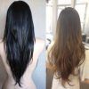 Black Hair Long Layers (Photo 25 of 25)