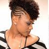 Side Braided Curly Mohawk Hairstyles (Photo 7 of 25)