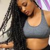 Twists And Braid Hairstyles (Photo 7 of 25)