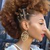 Natural Curly Hair Mohawk Hairstyles (Photo 2 of 25)