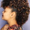 Natural Curly Hair Mohawk Hairstyles (Photo 4 of 25)