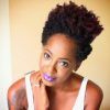 Pixie Hairstyles For Natural Hair (Photo 13 of 15)