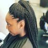 Side-Parted Micro Twist Hairstyles (Photo 6 of 25)