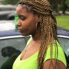 Black And Brown Senegalese Twist Hairstyles (Photo 23 of 25)