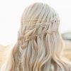 Double-Braided Single Fishtail Braid Hairstyles (Photo 13 of 25)