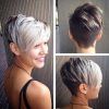 Silver And Brown Pixie Hairstyles (Photo 1 of 25)