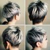 Asymmetrical Silver Pixie Hairstyles (Photo 12 of 25)
