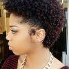 Plum Brown Pixie Haircuts For Naturally Curly Hair (Photo 11 of 25)