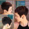 Edgy Textured Pixie Haircuts With Rose Gold Color (Photo 13 of 25)