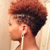 Curly Black Tapered Pixie Hairstyles (Photo 9 of 25)