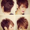 Sassy Pixie Hairstyles For Fine Hair (Photo 19 of 25)