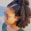 Braided Hairstyles On Natural Hair (Photo 14 of 15)