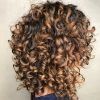 Layered Curly Medium Length Hairstyles (Photo 11 of 25)